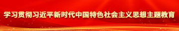 嫩逼.com学习贯彻习近平新时代中国特色社会主义思想主题教育